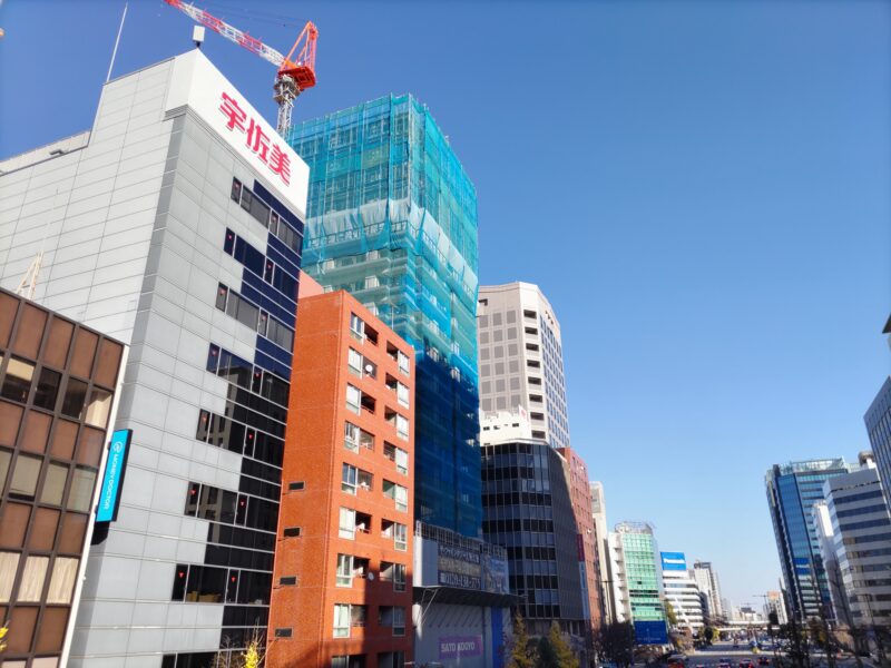 大正時代、名古屋帯富士、鷹 西陣織八寸名古屋帯/鳥の集い（ペルー鳥文） 洛風林